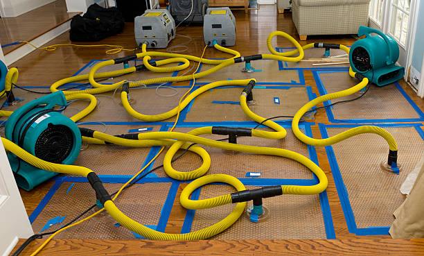 Professional Storm Water Damage Restoration technician working in Cold Spring, MN